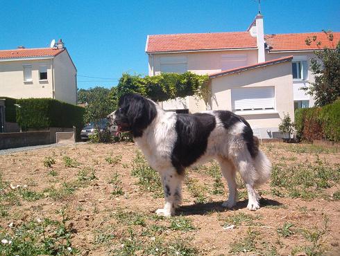 upsy11mois3